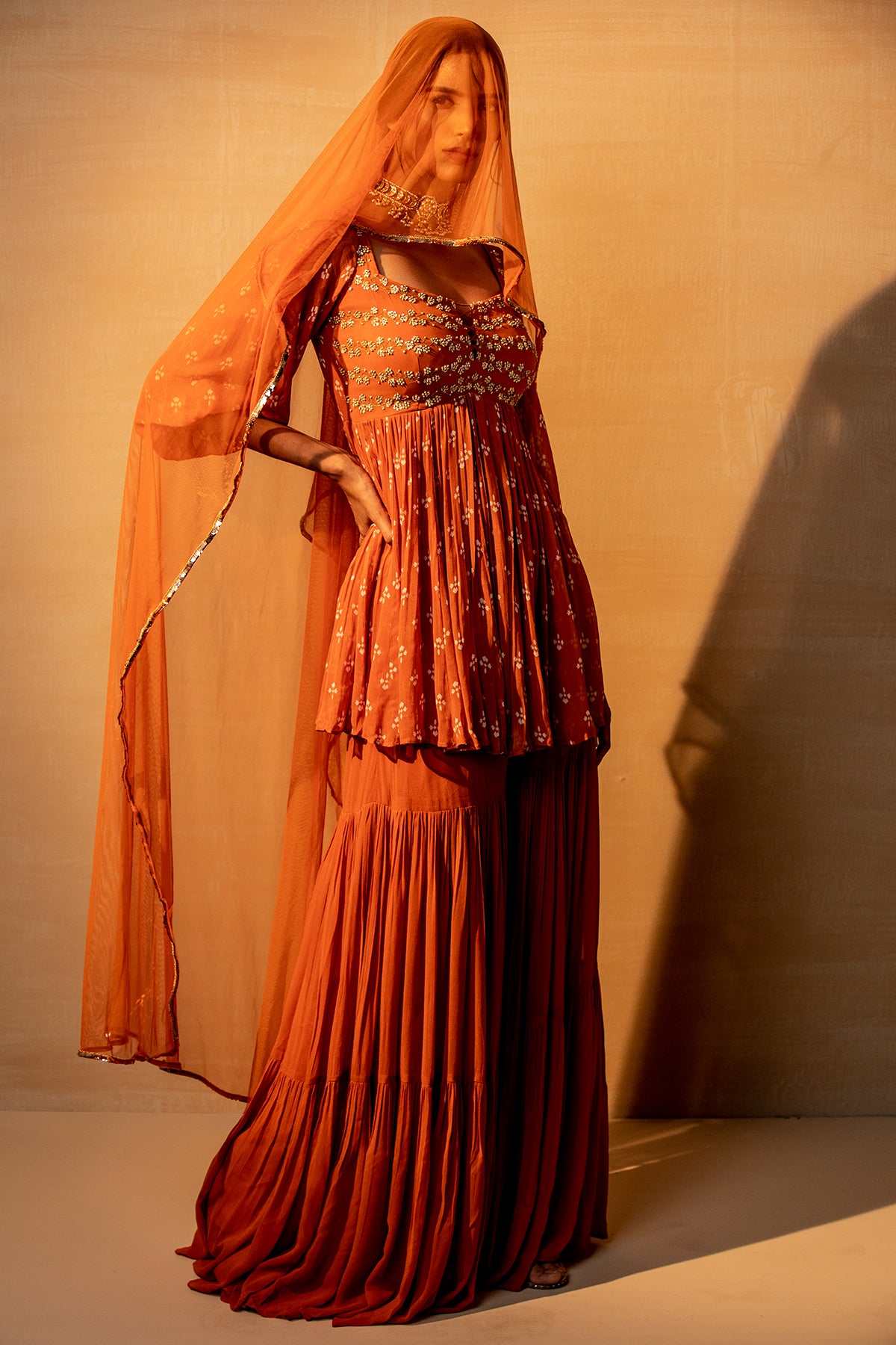 Rust Printed And Embroidered Sharara Set