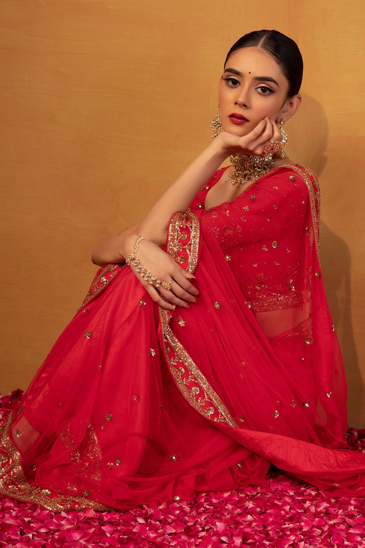 Red Net saree set