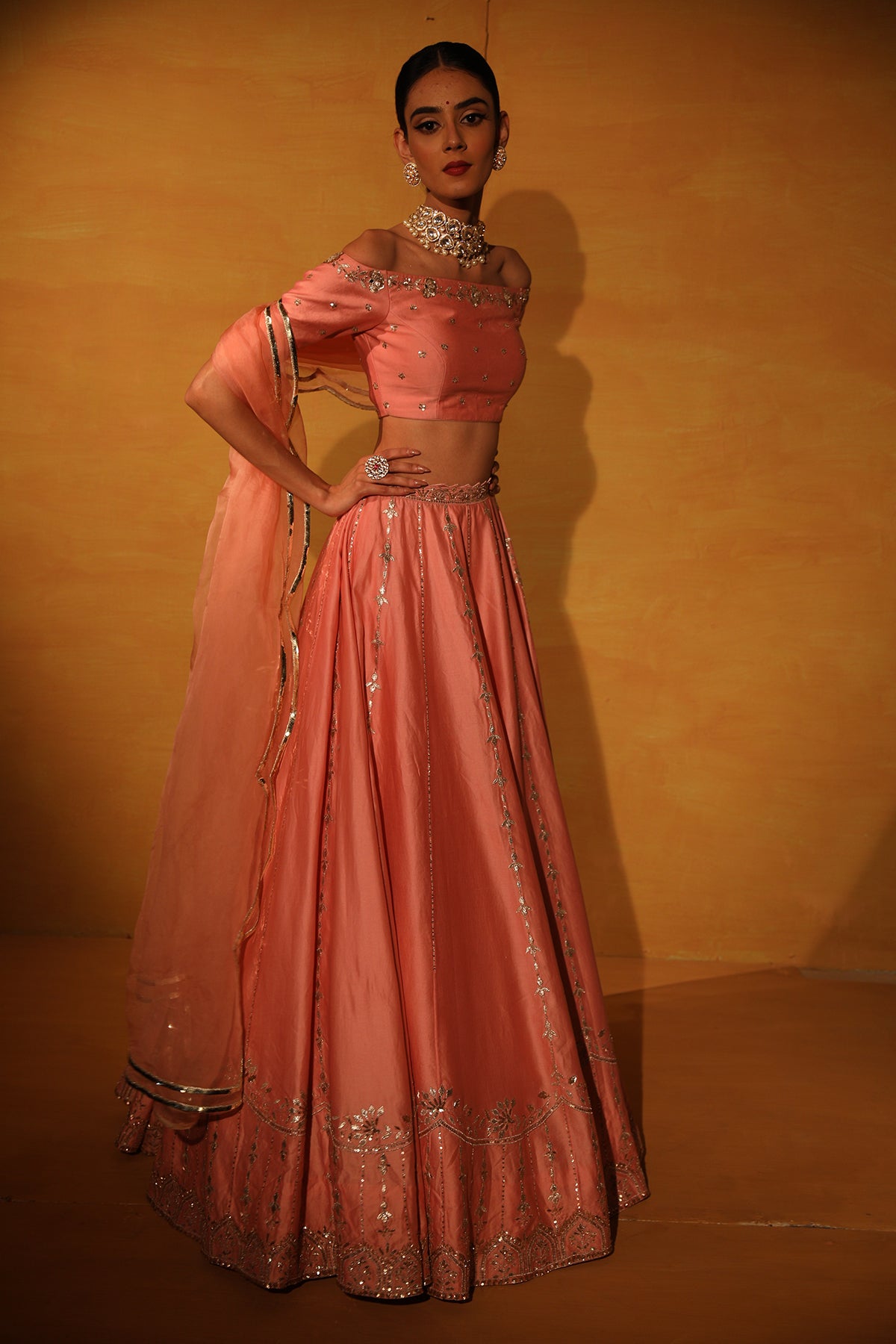 Blush Pink embroidered Lehenga set