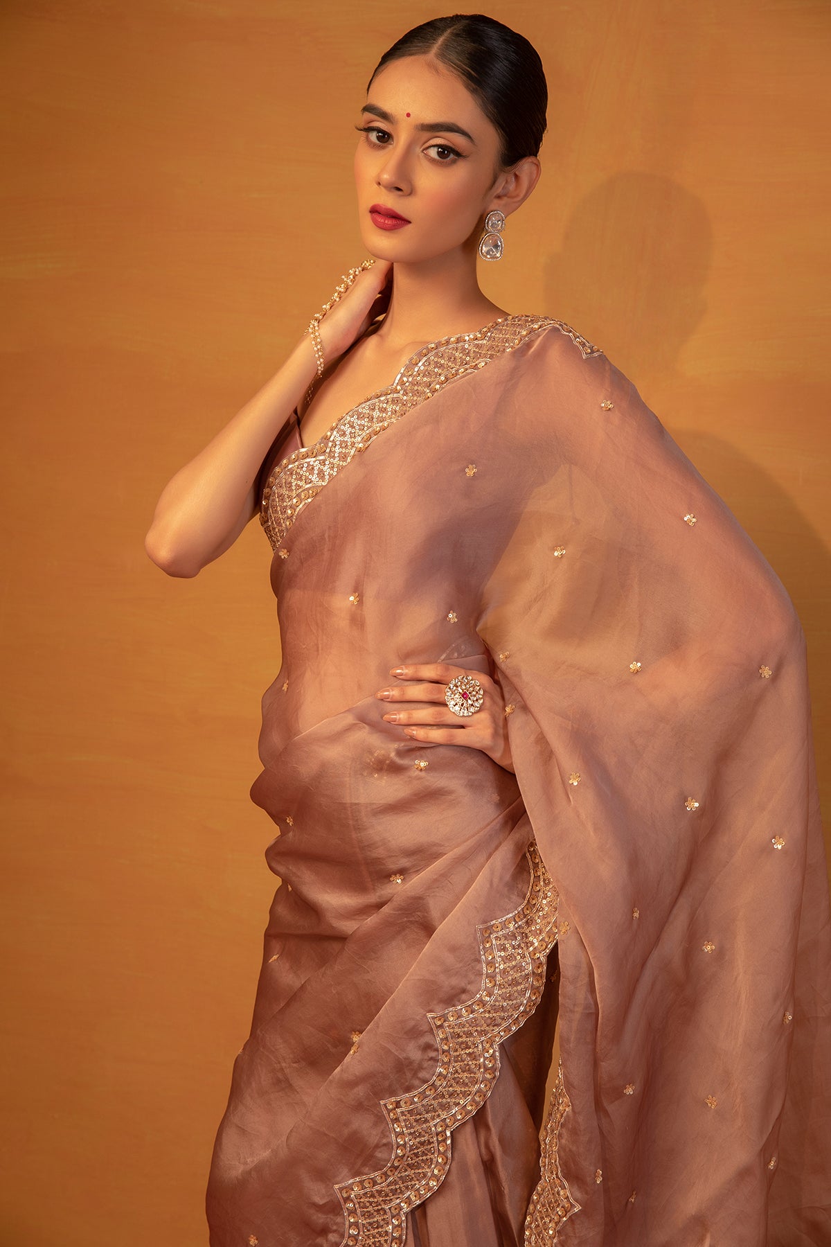 Brown organza saree